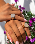 Anillos chevalier Loren